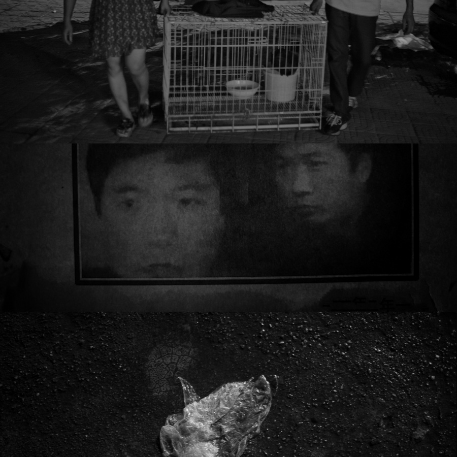 005 ����.jpg