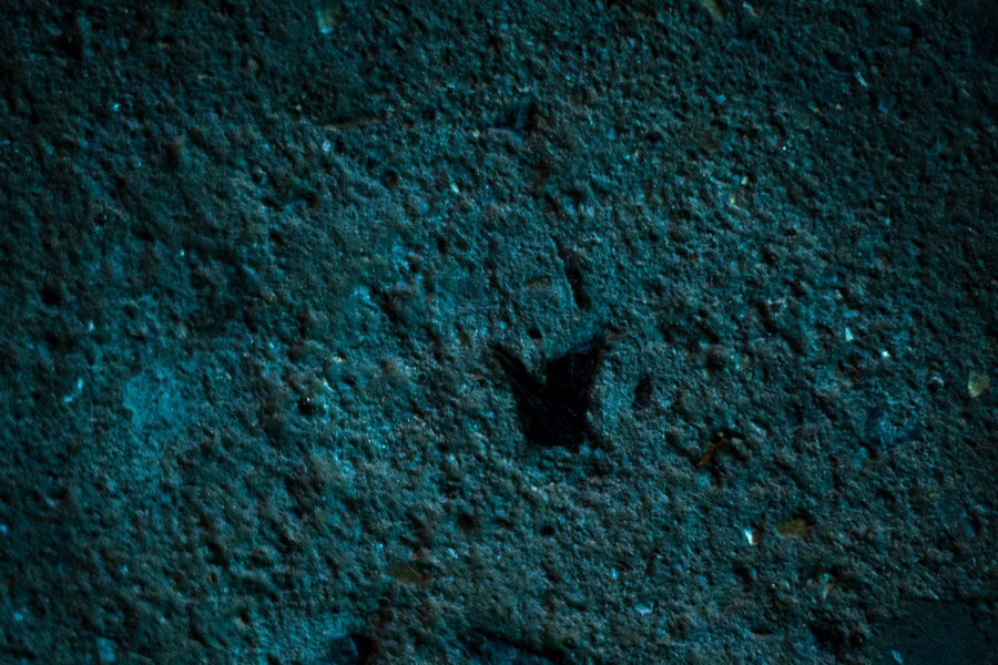 021�����ӵĴ���ϵ�С� .jpg