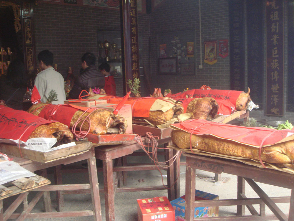 ���� DSC00539.JPG