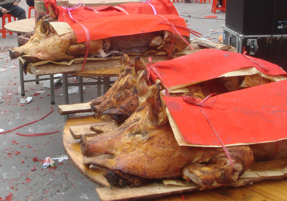 ���� DSC00607.JPG