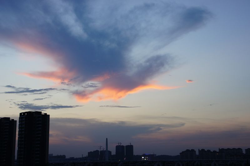 DSC07083 - ���� (2) - ����.JPG