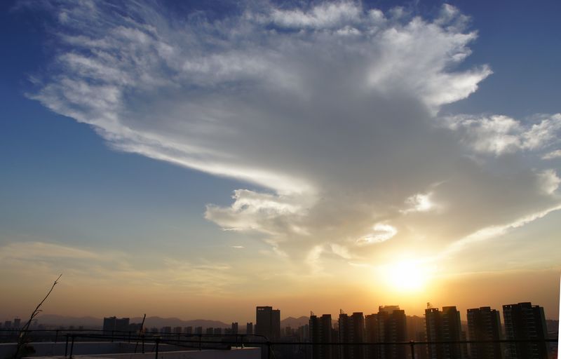 DSC07074 - ���� (2).JPG