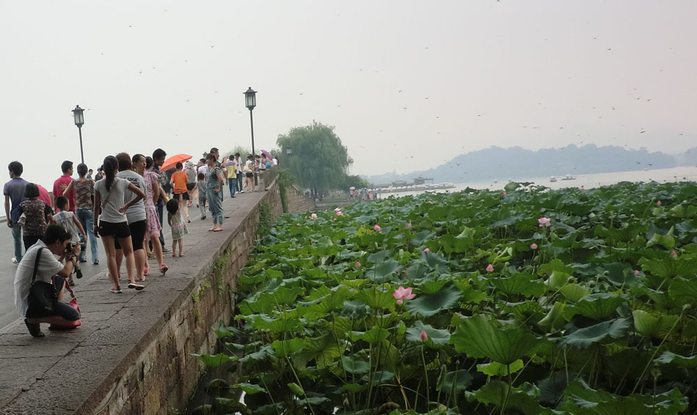 ���� CIMG0197.JPG