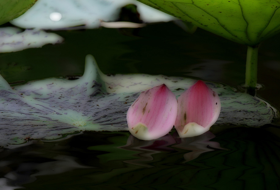 _MG_61800 ����.jpg