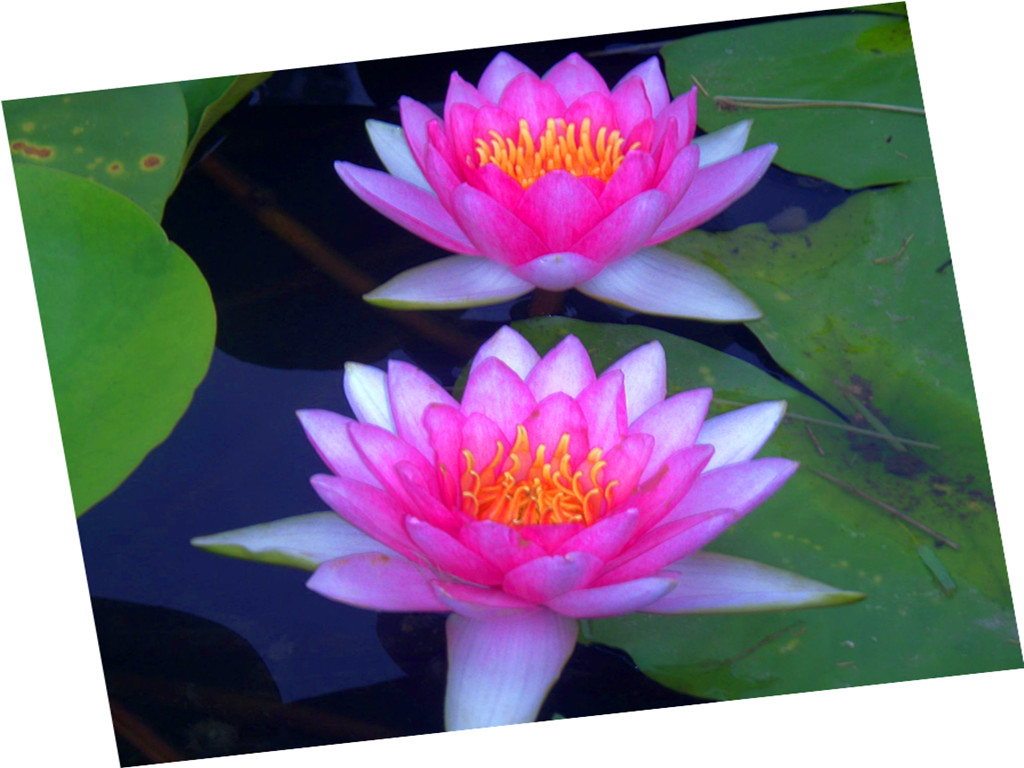 ʢ���Ĳ�����