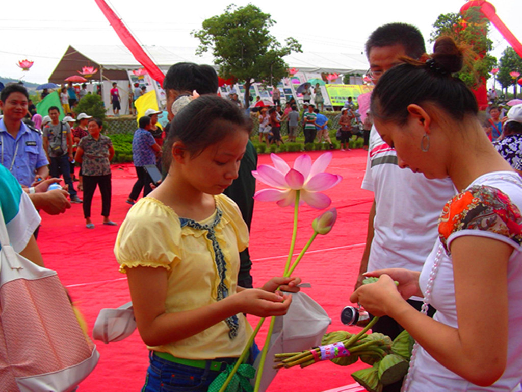 �ɻ����ϵ�����