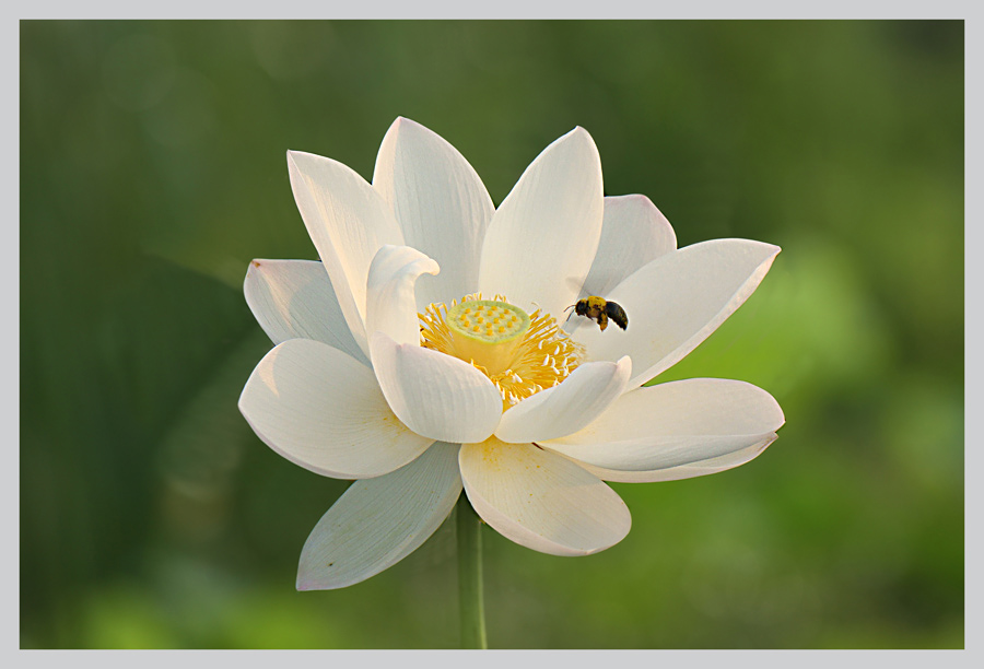 ���� IMG_7048����.jpg