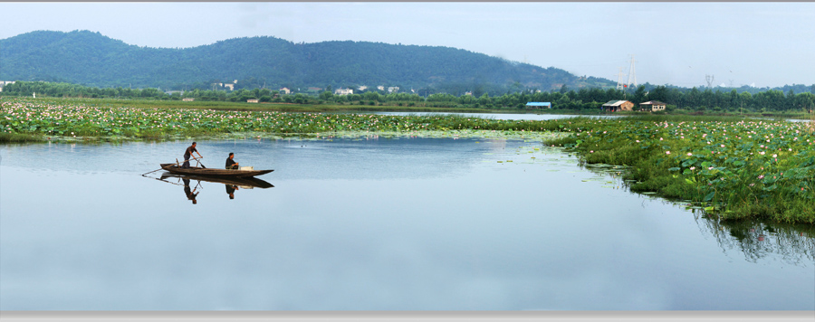 ���� IMG_9677����.jpg