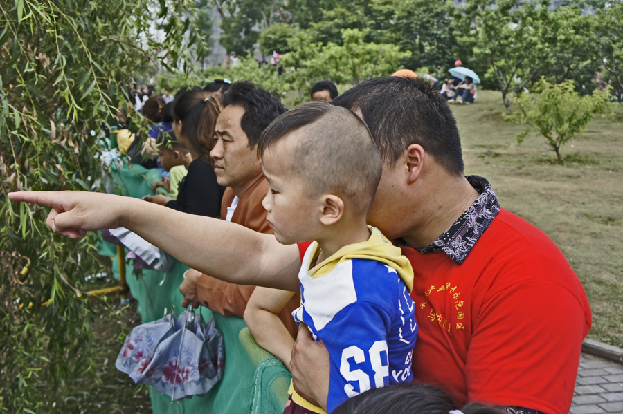 ���� _DSC3331.JPG