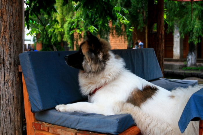 �������ǣ���Щ��������ߣ�һ���������Լ����뷨�������ϵĴ����������������һ��������˿һ��Ĺųǣ� ...