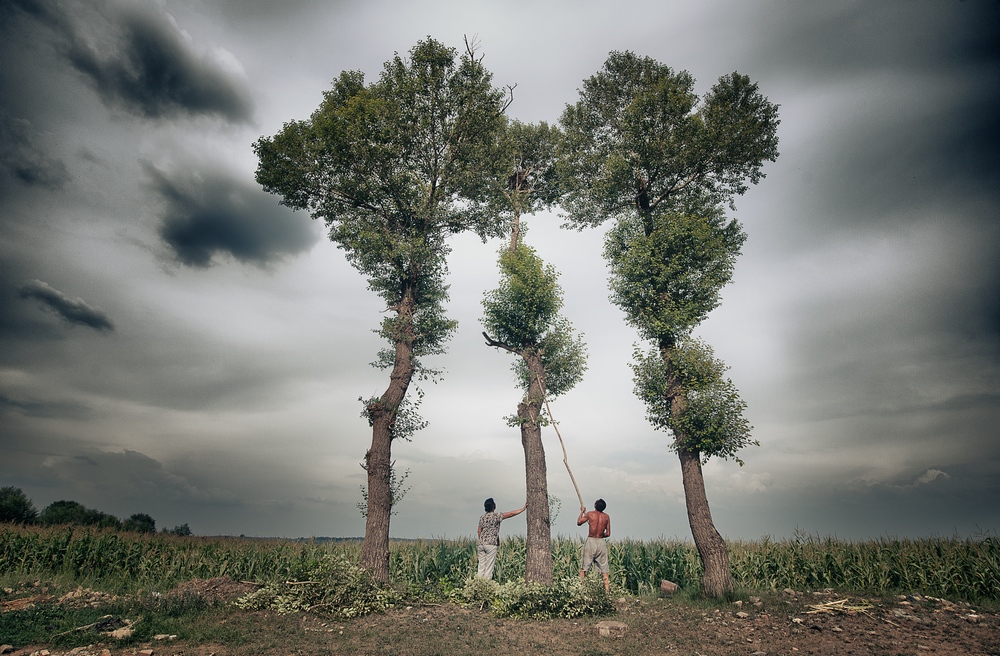 _DSC1727  �����֮�䡷ss.jpg