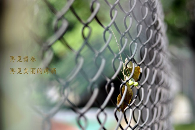 2012��8��26�շ�У���������Ѳ���96���ģ����һ�ж�������~