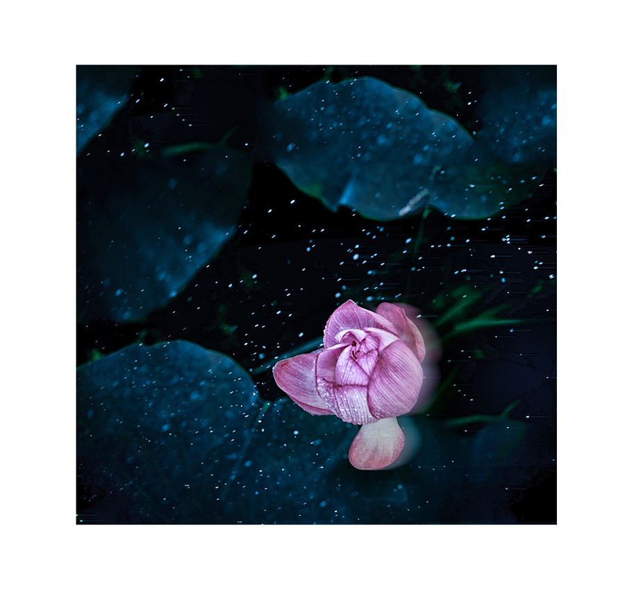 1207171302b32d4007a6ca2078  .jpg