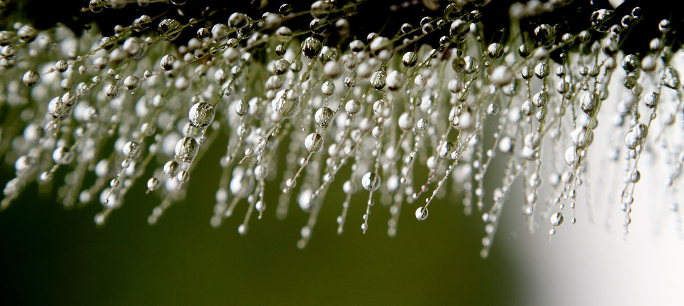 IMG_71720 ����.jpg