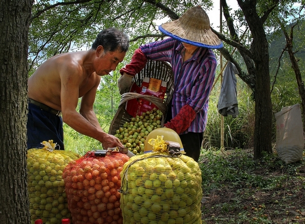 ���� ����ʤ.JPG