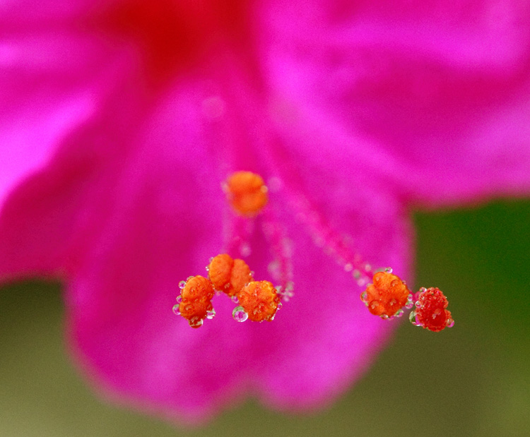 IMG_72620 ����.jpg