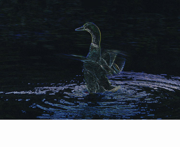 ���� ��Ƭ 139.jpg