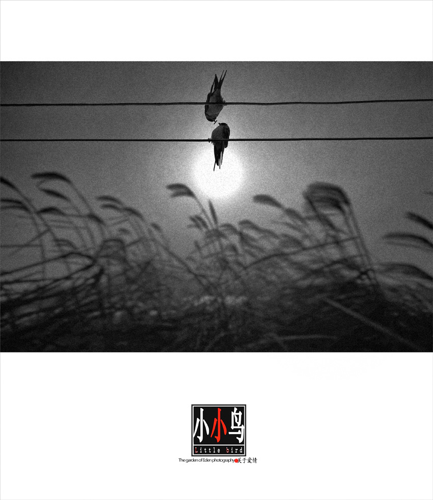 DSC_0011 ����.jpg