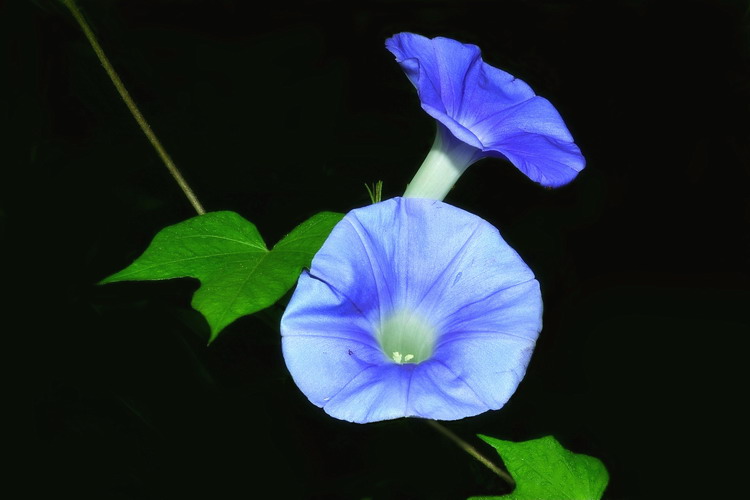 ���� ��Ƭ 193.jpg