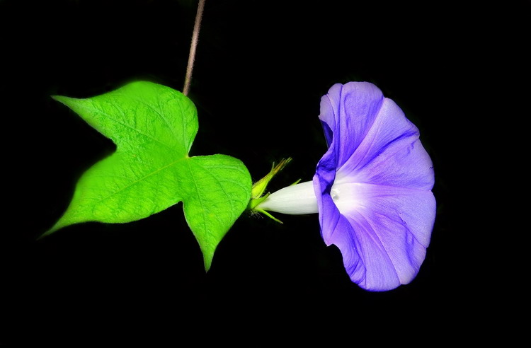 ���� ��Ƭ 189.jpg