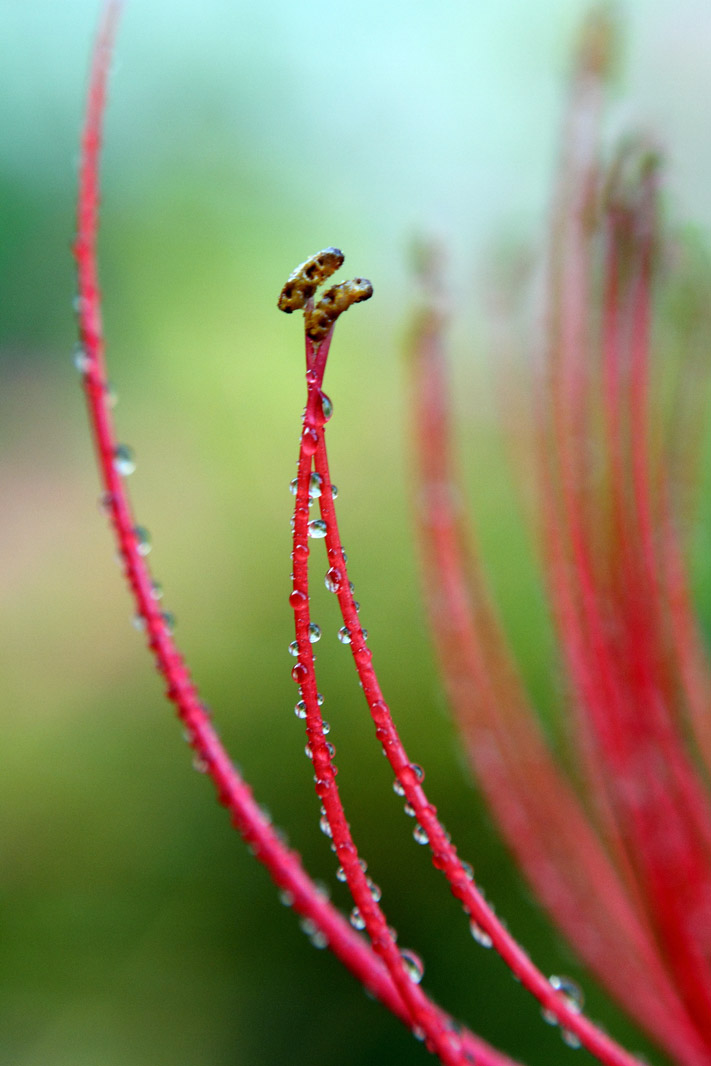 IMG_7290 ����.jpg