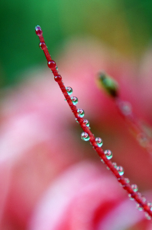 IMG_72790 ����.jpg