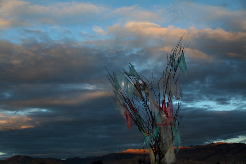 ���е�����