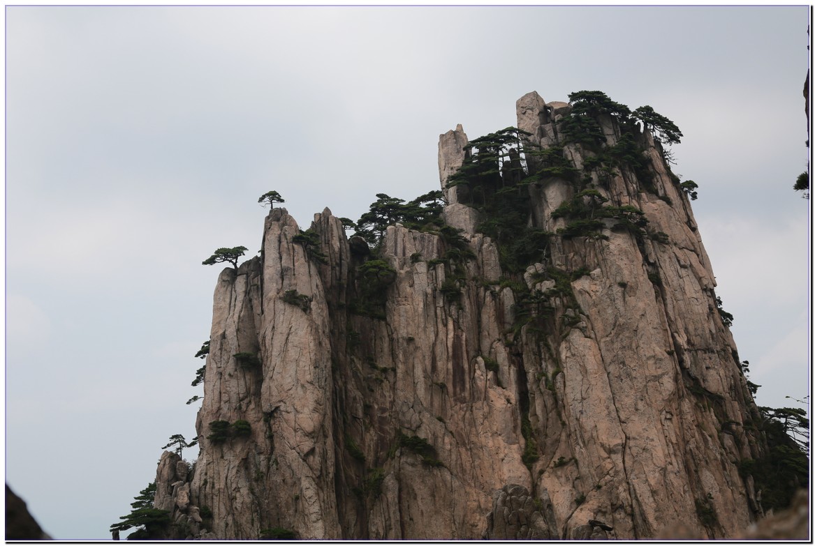 �ҷ�����