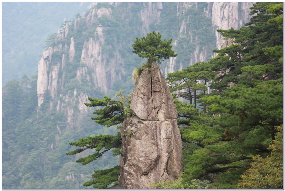 �α�����