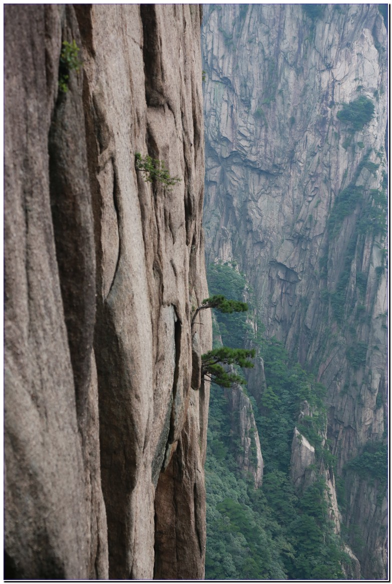 һ���ֻ�����