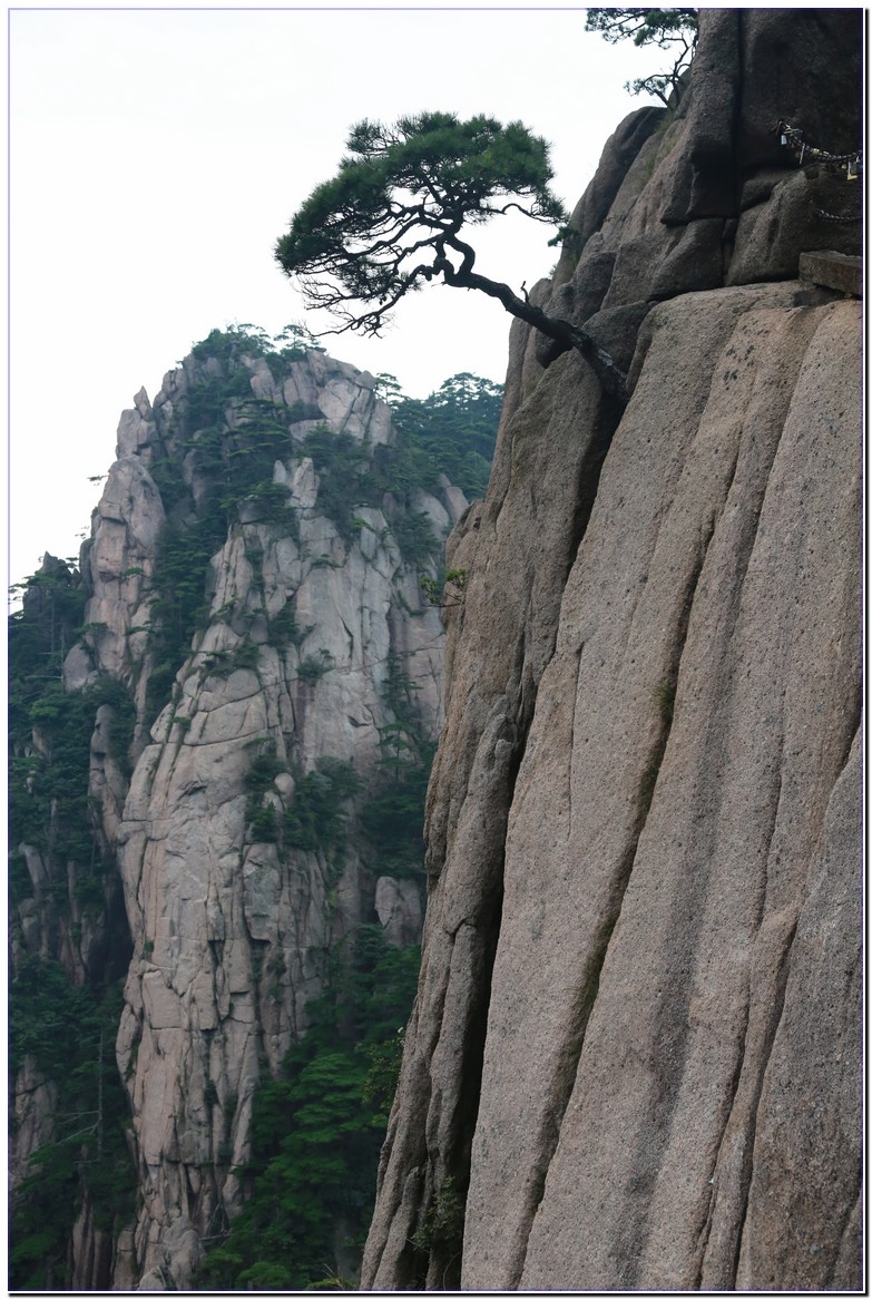 ��ɽ����