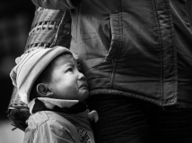 ��ʩ�ϼ�ץ�ĵļ��ź���