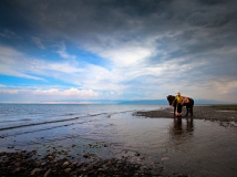 �ຣ������