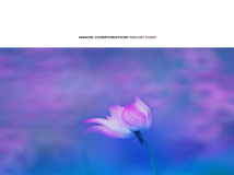 [ԭ��]��һ��ɻ�