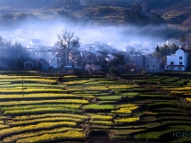 ����֮��